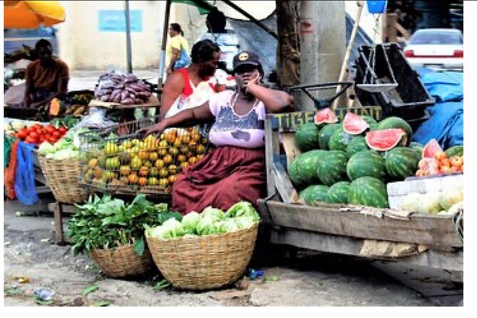 Private Montego Bay City Tour with Sightseeing and Shopping - What the private vehicle adds to a two-hour tour