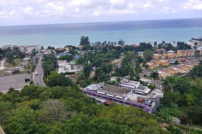 [PRIVATE] Montego Bay Highlights Tour - Key points to know before booking