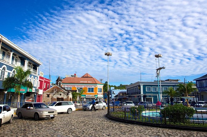 Private Montego Bay Highlights Tour with Pickup Included - The Private Vehicle and Guide Service