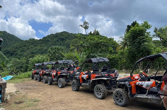 Private Rasta Safari Cultural UTV Village Experience - Is $179.49 per person a fair price?