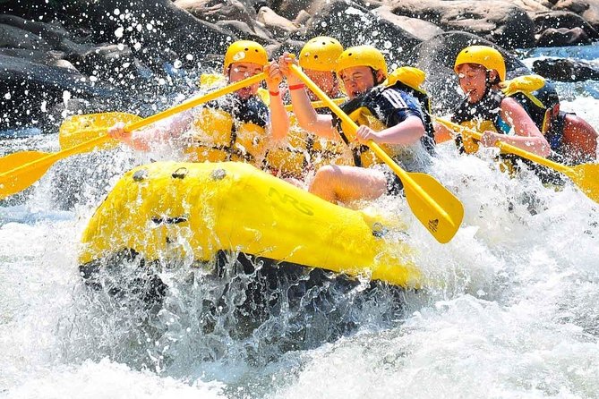 Private Rio Bueno River Adventure from Montego Bay - Key points to know before booking