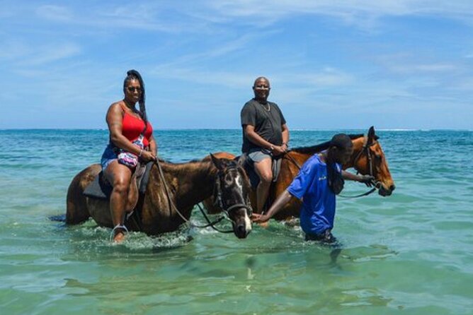 Private Tour from Montego Bay to Horse Back Riding and Bluehole - Blue Hole near Ocho Rios: water, trails, and rope swings