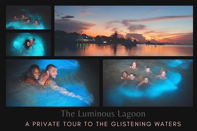 Private Tour in the Glistening Waters from Montego Bay - Key points to know before booking