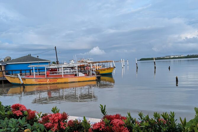 Private Tour in the Glistening Waters from Montego Bay - Should you swim in the lagoon?