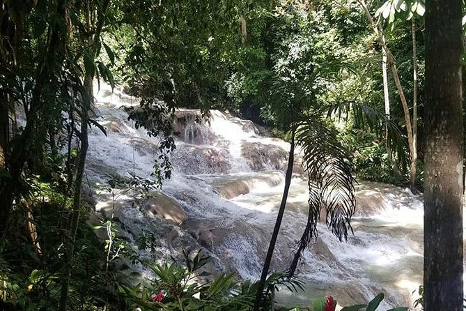 Private Tour Montego Bay To Blue Hole and Dunns River falls - Should you book the Dunns River and Blue Hole tour?