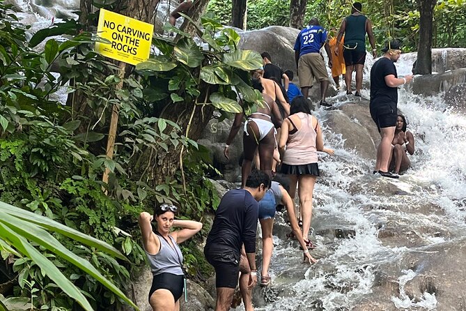 Private Tour To Blue Hole and Dunn’s River from Montego Bay - Dunn’s River Falls: climb, beach, and family time