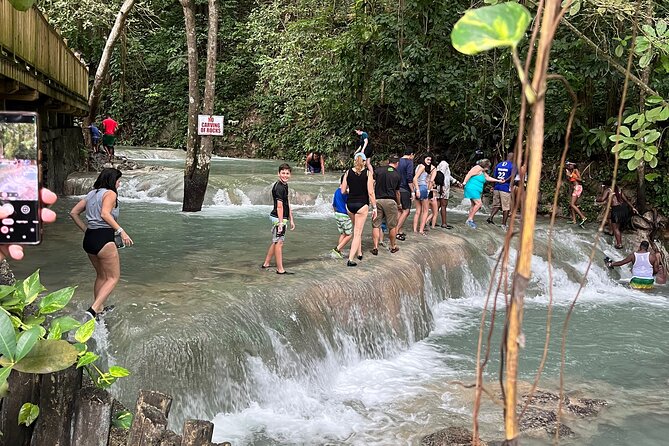 Private Tour To Blue Hole and Dunn’s River from Montego Bay - Private transportation and the value of traveling alone