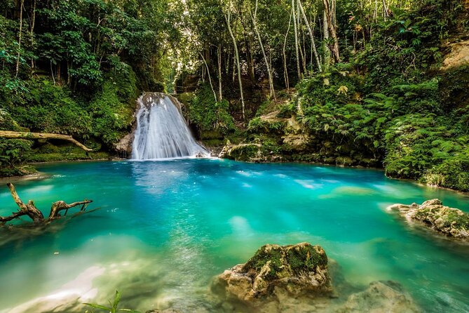 Private Tour To Blue Hole and Dunn’s River from Montego Bay - Who will enjoy this outing most