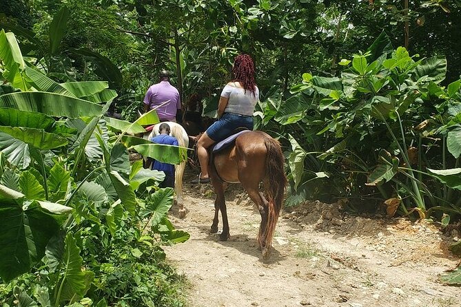 Private Tour to Dunns River and Horseback Riding with Local Guide - Two Jamaica highlights in one six-hour day