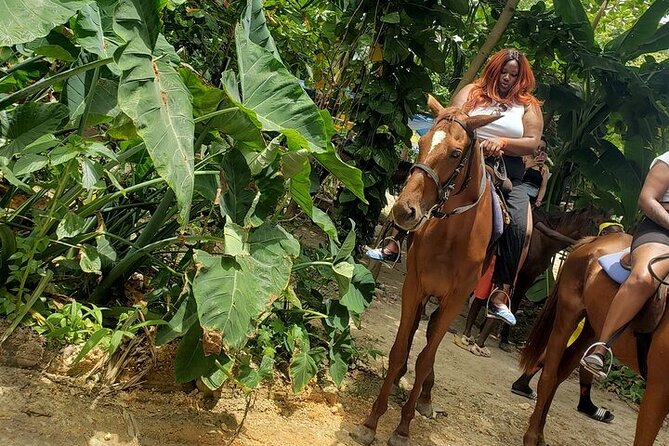 Private Tour to Dunns River and Horseback Riding with Local Guide - What the private format changes