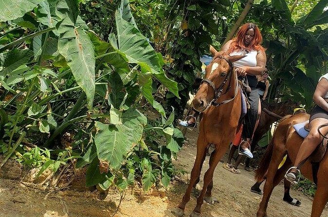 Private Tour to Dunns River and Horseback Riding with Local Guide - Is $115 per person a fair price?