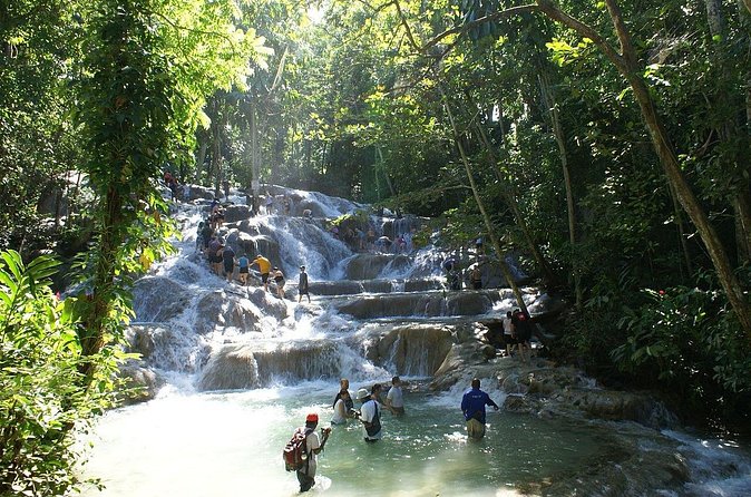 Private Tour to Dunns River and Horseback Riding with Local Guide - Who should book this experience?