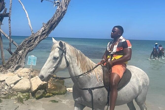 Private Tour to Dunns River and Horseback Riding with Local Guide - Useful planning details before you go