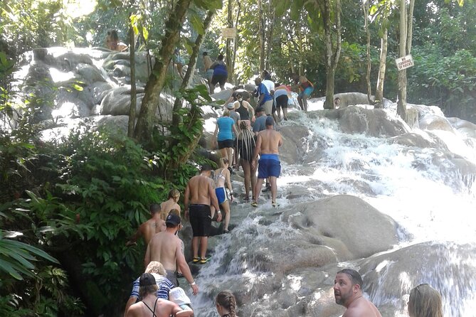 Private Transfer to Dunns River Blue Hole Tubing from Montego Bay - A full day of Jamaica’s best-known water stops