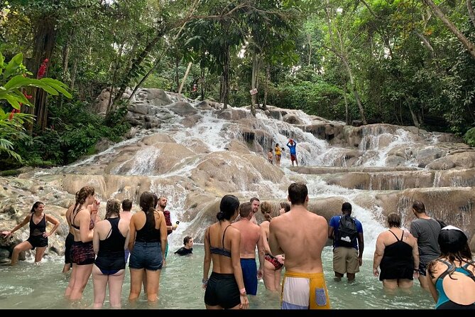 Private Transportation from Montego Bay to Mystic Mountain and Dunn's River Fall - Key points to know before you book