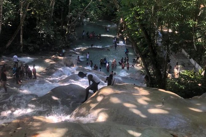 Private Transportation from Montego Bay to Mystic Mountain and Dunn's River Fall - A private ride from Montego Bay to Jamaica’s north coast