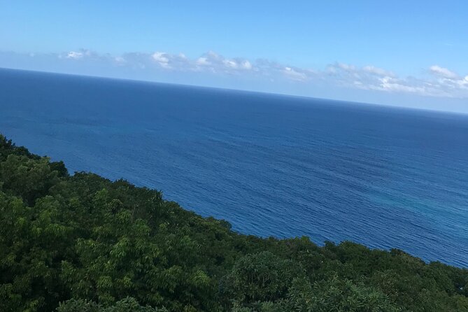 Private Transportation from Montego Bay to Mystic Mountain and Dunn's River Fall - Why the driver can shape the whole day