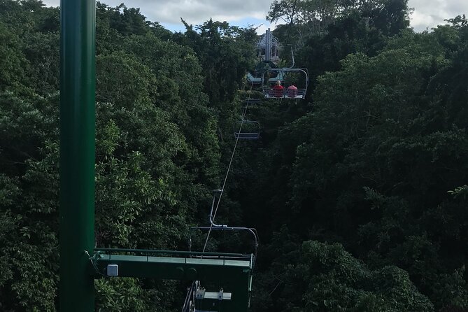Private Transportation from Montego Bay to Mystic Mountain and Dunn's River Fall - Planning the order and timing
