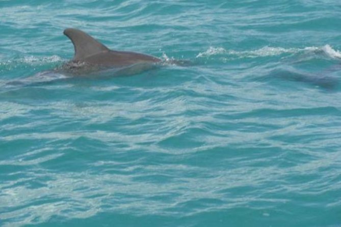 [PRIVATE] YS Falls, Black River, Pelican Bar - Entrance & Lunch - A big south-coast day from Montego Bay