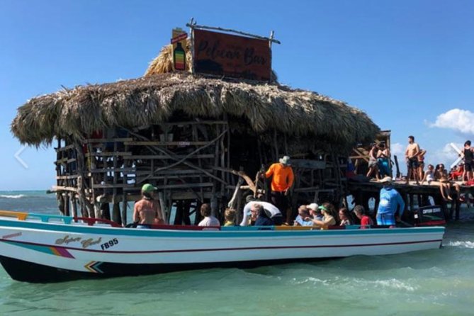 [PRIVATE] YS Falls, Black River, Pelican Bar - Entrance & Lunch - YS Falls, jitney ride, and the zipline choice