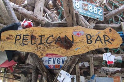[PRIVATE] YS Falls, Black River, Pelican Bar – Entrance & Lunch