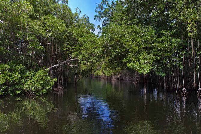 [PRIVATE] YS Falls, Black River, Pelican Bar - Entrance & Lunch - Reaching Floyd’s Pelican Bar by boat