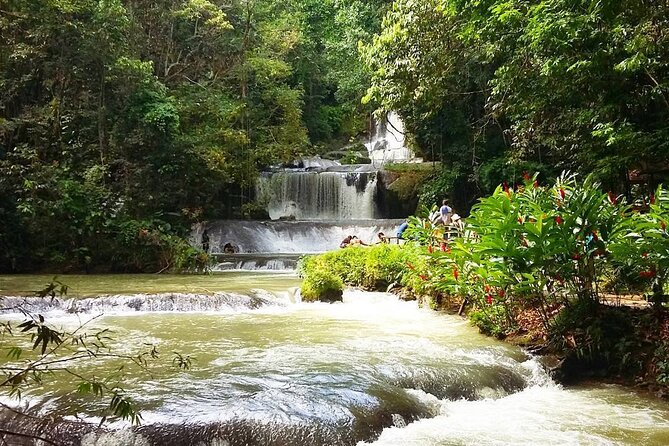 [PRIVATE] YS Falls, Black River, Pelican Bar - Entrance & Lunch - Who will enjoy this private day most