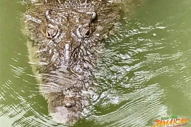 [PRIVATE] YS Falls, Black River, Pelican Bar - Entrance & Lunch - Should you book the YS Falls, Black River, and Pelican Bar tour?