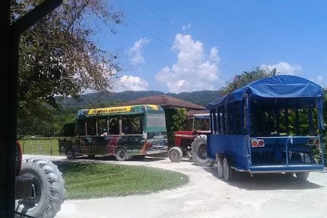 Private YS Falls Tour from Montego Bay - Two Hours Among the Falls and Pools