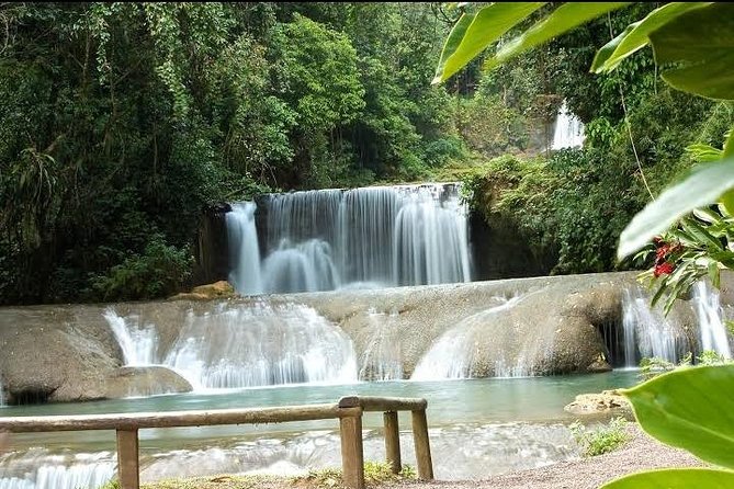 Private YS Falls Tour from Montego Bay - Practical Tips for a Better Visit