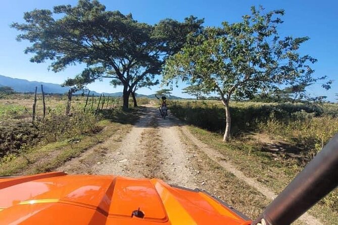 Rasta Safari Atv Experience and Rick's Cafe Private Tour - Why the private vehicle matters