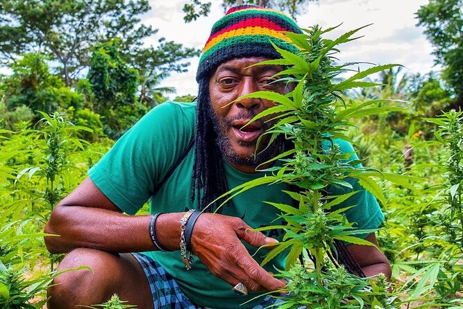 Rastafari Cultural ATV Community Experience from Montego Bay - From Montego Bay to Roaring River