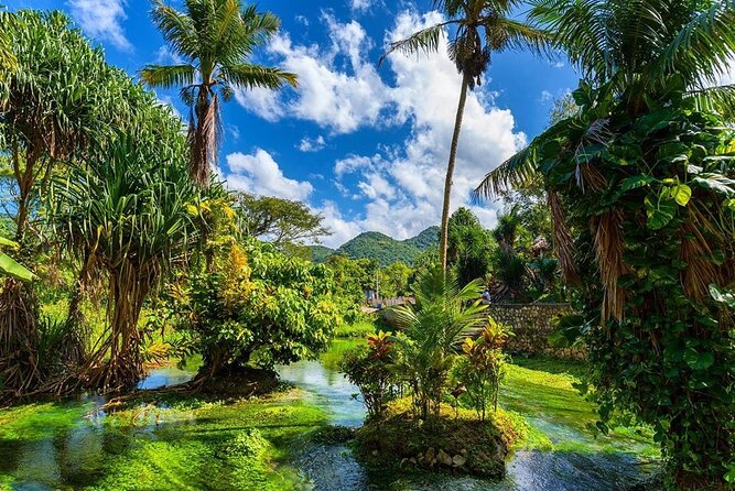 Rastafari Cultural ATV Community Experience from Montego Bay - Guides, group size, and the pace of the day
