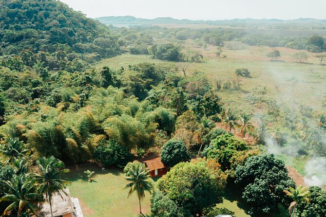 Rastafari Cultural ATV Community Experience from Montego Bay - Who will enjoy this experience most