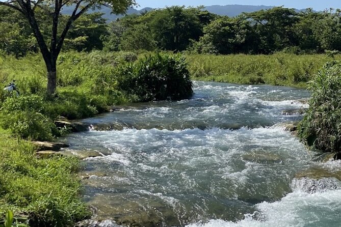 Rastasafari Experience ATV Adventure and Local Day Out - Why this Montego Bay outing feels different