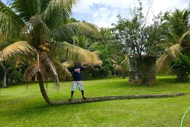 Rastasafari Experience ATV Adventure and Local Day Out - Is $320 per person a fair price?