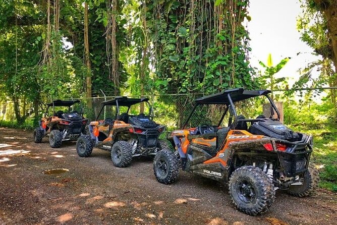 Rastasafari Experience ATV Adventure and Local Day Out - Meeting a Rastafari community