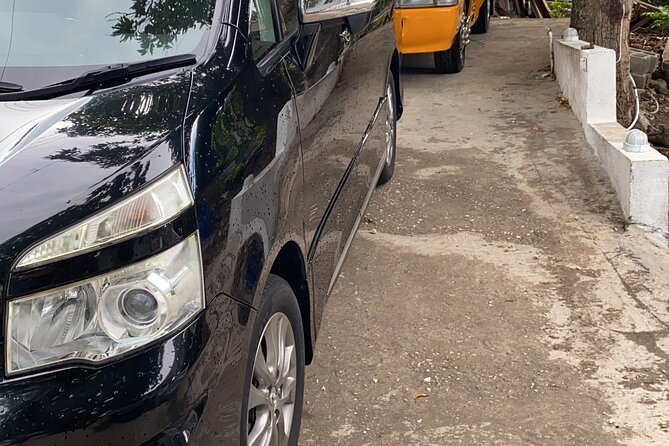 Riu Negril / Riu Palace Tropical Bay Private Airport Transfer - A helpful driver, but not a guided tour
