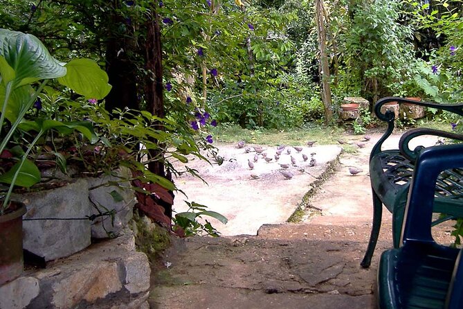 Rockland Bird Sanctuary plus Montego Bay Highlights & Shopping Private Tour - Is the $123 price fair?
