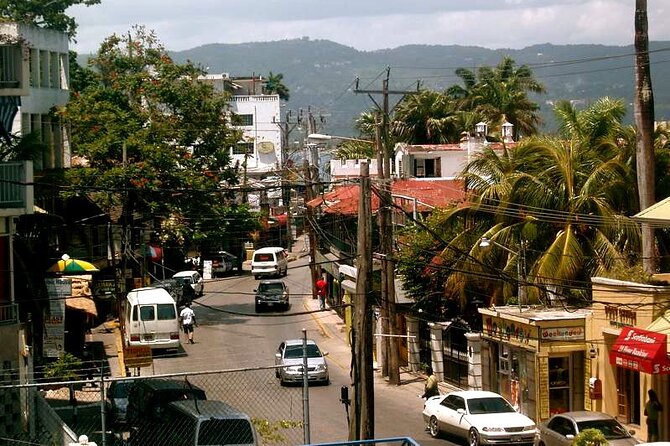 Rockland Bird Sanctuary plus Montego Bay Highlights & Shopping Private Tour - What the day feels like from pickup to drop-off
