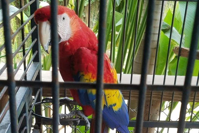 Rockland Bird Sanctuary Private Tour - The private format and what it changes