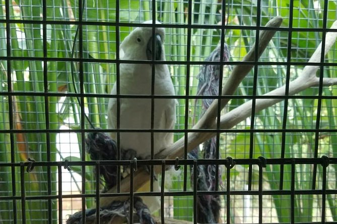Rockland Bird Sanctuary Private Tour - Is $120 per person a fair price?