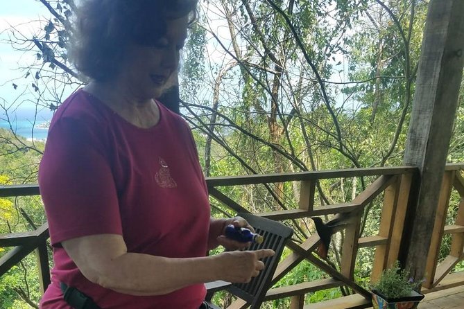 Rockland Bird Sanctuary Private Tour - Practical preparation for the bird sanctuary