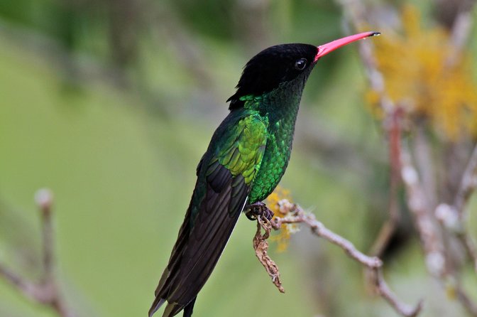 Rockland Bird Sanctuary Private Tour - Who will enjoy this outing most?