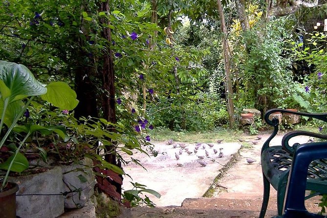 Rockland Bird Sanctuary Private Tour - Two hours at Rockland Bird Sanctuary