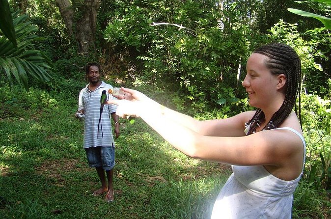 Rockland Bird Sanctuary Tour [Transportation] Hotel Pick-Up - The transfer from your hotel