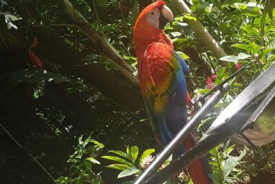 Rockland Bird Sanctuary Tour [Transportation] Hotel Pick-Up