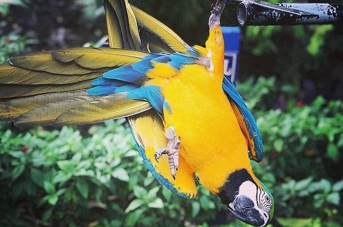 Rockland Bird Sanctuary Tour [Transportation] Hotel Pick-Up - Who will enjoy this most