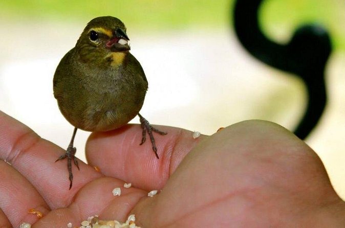 Rockland Bird Sanctuary Tour [Transportation] Hotel Pick-Up - Practical booking advice