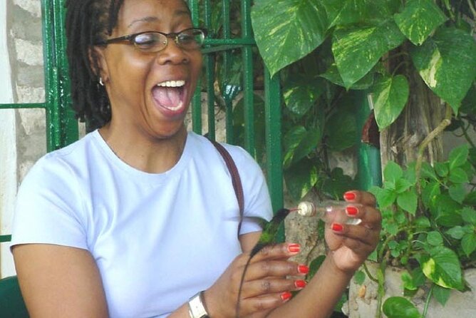 Rocklands Bird Sanctuary & City Highlights plus Shopping from Montego Bay - Rocklands makes the day worth considering